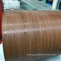 PPGI/PPGL Colour Coated Galvanized Steel Coil
